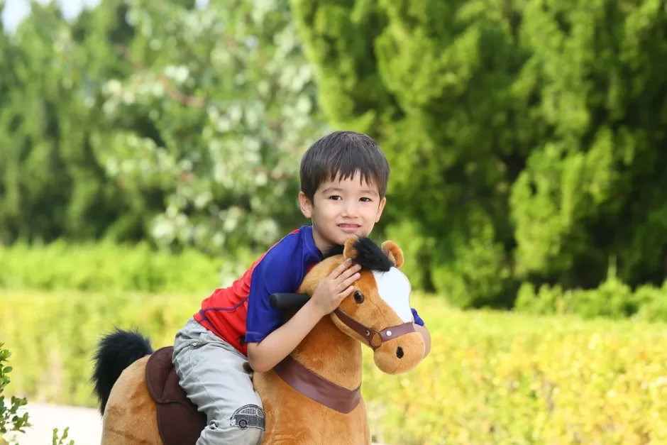 Best Sale Baby Direct Little Riders Kids Ride on Horse Animal Toy